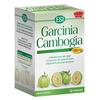 Esi varie Garcinia cambogia 1000 mg 60 compresse