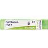 BOIRON Sambucus Nigra 5Ch Granuli Multidose Boiron