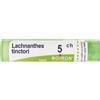 BOIRON Lachnanthes Tinctoria 5Ch Granuli Multidose Boiron