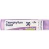 BOIRON Srl Caulophyllum Thalictroides 30Ch Granuli Multidose Boiron
