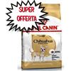 ROYAL CANIN CANE CHIHUAHUA ADULT 500 G