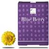 New Nordic Blue Berry Integratore per la funzione visiva 120 compresse