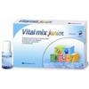 Montefarmaco Vitalmix Junior 12fl