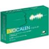 Scharper spa Vocalen 20cps