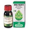 Specchiasol Ribes Nigrum Mg 100ml