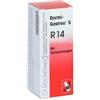 Dr.Reckeweg & Co. gmbh Reckeweg R14 50ml Gtt