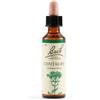 Schwabe Pharma Italia Centaury Bach Orig 20ml