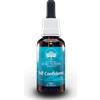 Australian Bush Flowers Australian Bush Flower Self Confidence - Gocce floreali per l'autostima e la timidezza, 30 ml