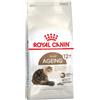 Royal Canin Senior Ageing + 12 Gatto 2 kg