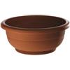 Erba Ciotola Sigma completa cm 30 terracotta