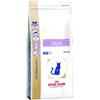 Royal canin calm gatto 2 kg