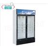Forcar- Vetrina Frigo per Bibite, 2 porte, lt.620, Statico, Temp.+2 +8C, Classe C, mod.G-SNACK638L2TNG