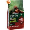Monge Dog Bwild Grain Free Adult All Breed Agnello e Piselli - Sacco da 2,5 kg