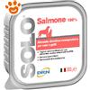 DRN Dog & Cat SOLO Salmone - Vaschetta Da 300 Gr