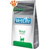 Farmina Cat Vet Life Renal - Sacco da 5 kg