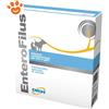 DRN Dog & Cat Enterofilus Fiale - Confezione da 12 Fiale da 10 ml
