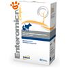 DRN Dog & Cat Enteromicro Complex - Confezione Da 32 Compresse