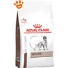 Royal Canin Dog Veterinary Diet Hepatic - Sacco da 12 kg
