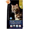 Farmina Matisse Cat Adult Salmone e Tonno - Sacco da 10 kg