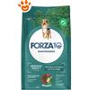 Forza10 Dog Maintenance Medium Adult Cervo e Patate - Sacco Da 2 Kg