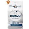 Forza10 Dog Active VetDiet Puppy Condro - Sacco Da 10 Kg