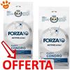 Forza10 Dog Active VetDiet Puppy Condro - Offerta [PREZZO A CONFEZIONE] Quantità Minima 2, Sacco Da 10 Kg