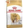 Royal Canin Dog Adult Beagle - Sacco Da 12 Kg