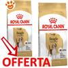 Royal Canin Dog Adult Beagle - Offerta [PREZZO A CONFEZIONE] Quantità Minima 2, Sacco Da 12 Kg