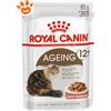 Royal Canin Cat Ageing 12+ in Salsa - Confezione da 85 Gr