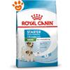 Royal Canin Dog Mini Starter Mother & Babydog - Sacco da 8 kg