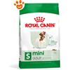 Royal Canin SHN Dog Mini Adult - Sacco Da 8 Kg