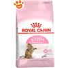 Royal Canin Cat Kitten Sterilised - Sacco da 2 kg