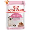 Royal Canin Cat Kitten in Salsa - Confezione da 85 Gr
