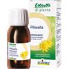 BOIRON Srl Drenaggio Pilosella EI Boiron 60ml