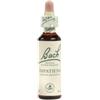 Schwabe Pharma Italia Impatients Bach Original 20 ml