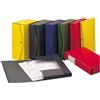 KING MEC Scatola archivio PROJECT 10 blu 25x35cm dorso 10cm Esselte (Conf.5)