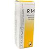 DR.RECKEWEG R14 - rimedio omeopatico 22 ml gocce