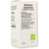 OTI Srl Sequoia Gigantea Mg10% OTI 100ml