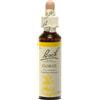 SCHWABE PHARMA ITALIA Srl Gorse Fiori di Bach® Originali 20ml