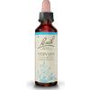 SCHWABE PHARMA ITALIA Srl Vervain Fiori Di Bach® Original 20ml