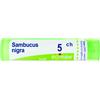 BOIRON Srl Sambucus Nigra 5CH Boiron Granuli 4g