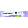 BOIRON Srl Staphysagria 30CH Boiron Granuli 4g