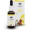 BUSH BIOTHERAPIES Pty Ltd Instinct Balance - 30ML
