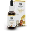 BUSH BIOTHERAPIES Pty Ltd Transition Pets - 30ML