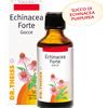 NATURWAREN ITALIA Srl Dr. Theiss Echinacea Forte Gocce Integratore Alimentare 50ml