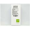 OTI Srl OTI Carpinus Betulus Macerato Glicerico 100ml