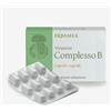 ERBAMEA Srl Erbamea Vitamine Complesso B Integratore Alimentare 24 Capsule Vegetali