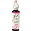 SCHWABE PHARMA ITALIA Srl Sweet Chestnut Fiori di Bach® Original 20ml