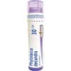 BOIRON Srl Phytolacca Decandra 30CH Boiron 80 Granuli