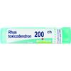 BOIRON Srl Rhus Toxicodendron 200CH Boiron Granuli 4g